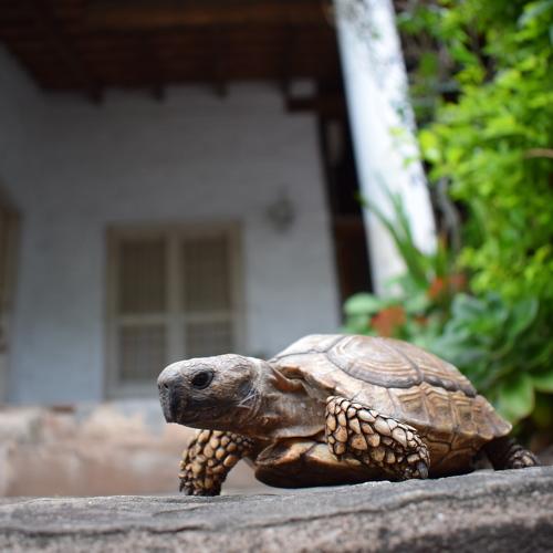 Photo #4404140