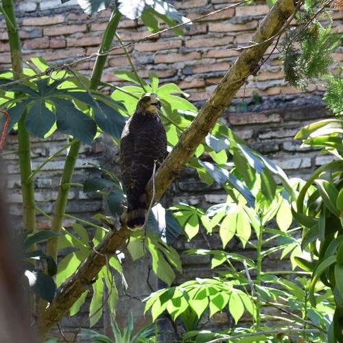 Photo #4404144