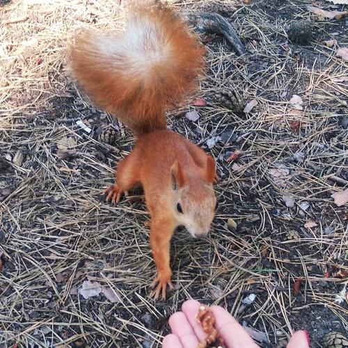 Photo #4404339