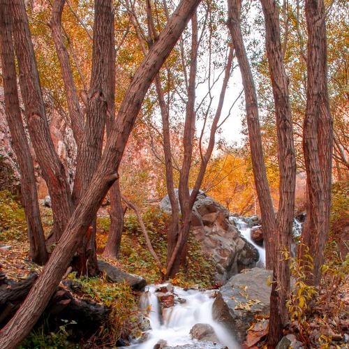 Photo #4404458