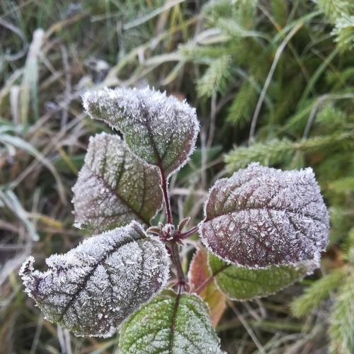 Photo #4404576