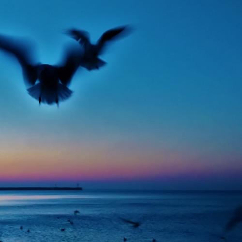 Photo #4405074