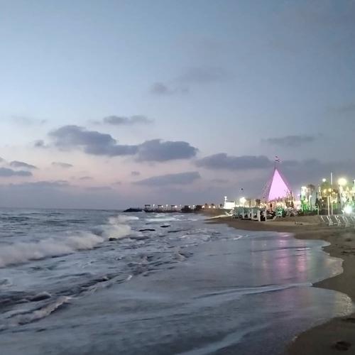 Photo #4405578