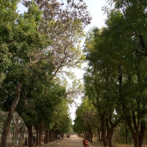 Photo #4406143