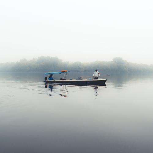 Photo #4406187