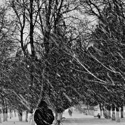 Snow rain