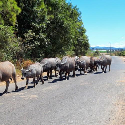Photo #4406417