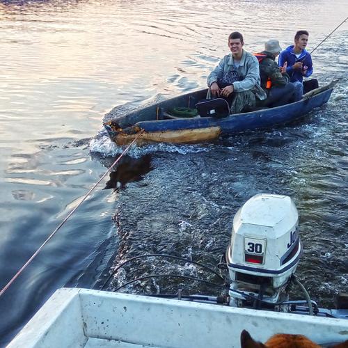 Photo #4406434
