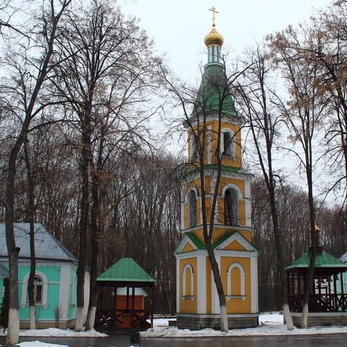 Photo #4406509