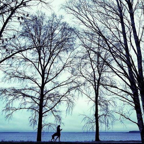 Photo #4406552