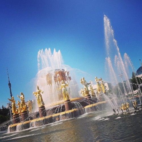 Photo #4406573