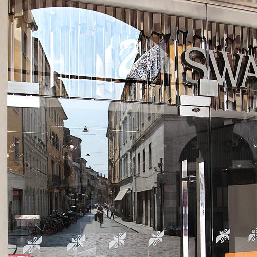 Photo #4406959