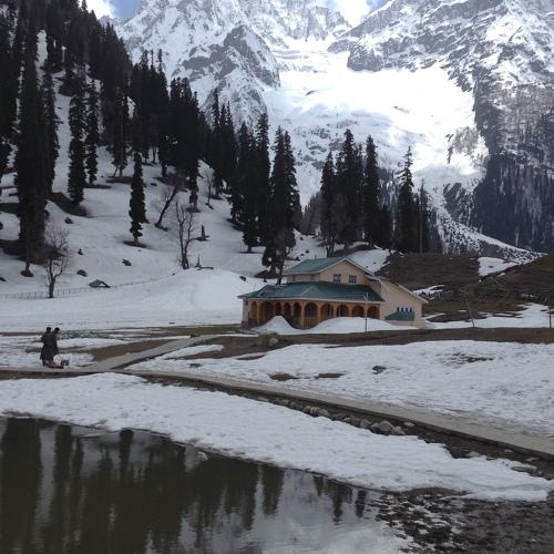 Photo #4407095