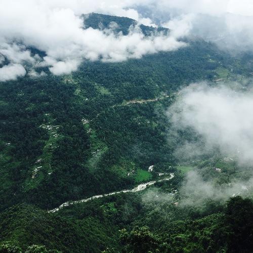 Photo #4407103