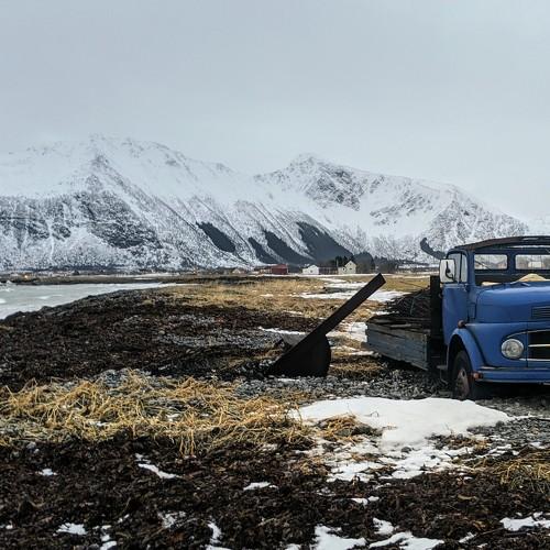 Photo #4407138
