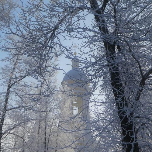 Photo #4407221