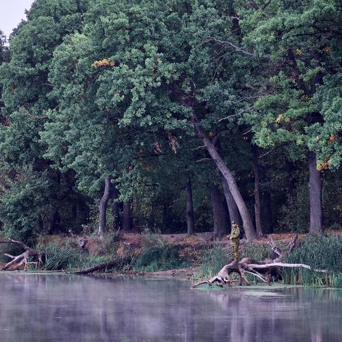 Photo #4407360
