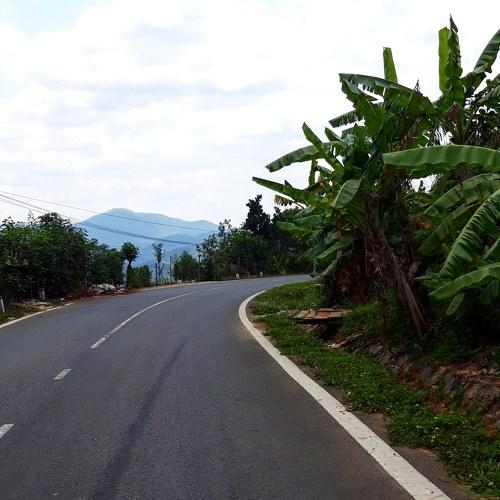 Photo #4407615