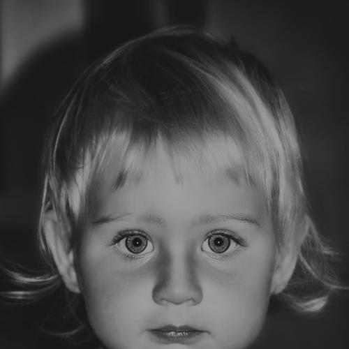 Photo #4407844