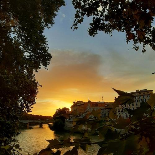 Photo #4408077
