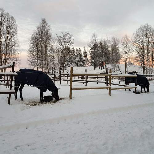 Photo #4408569