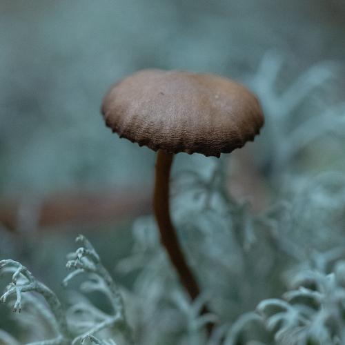 Photo #4409092