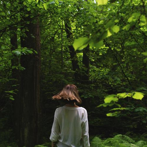 Photo #4409260