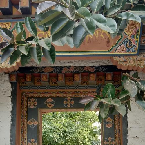 Photo #4409265