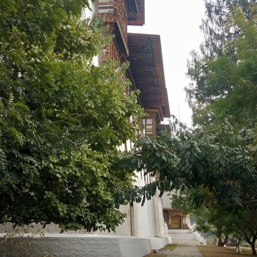 Photo #4409266