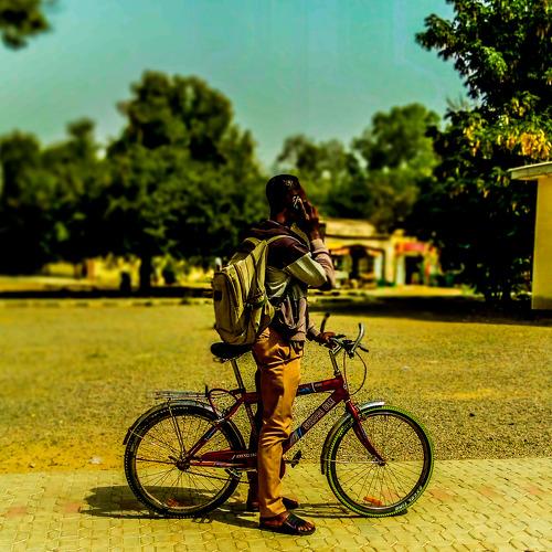 Photo #4409298