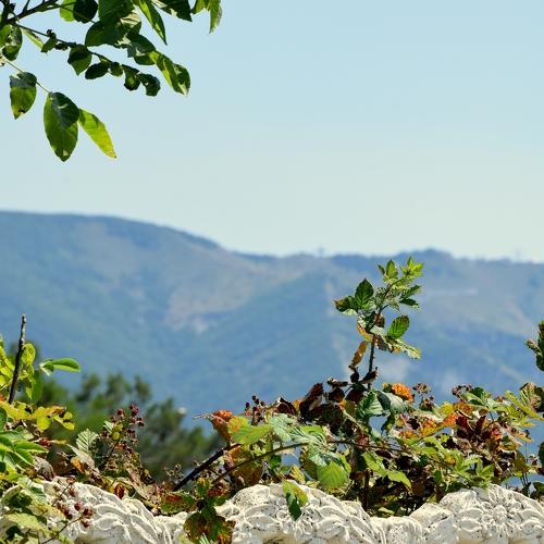 Photo #4409360