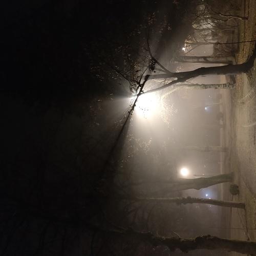 Photo #4409654