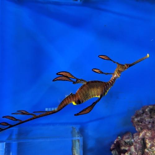 Photo #4409921