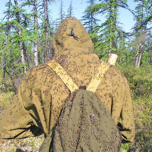 Photo #4410039