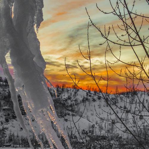 Photo #4410081