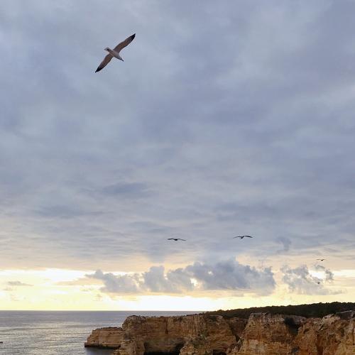 Photo #4410163