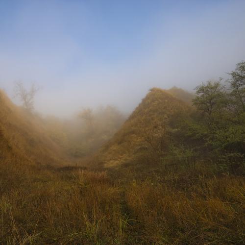 Photo #4410233