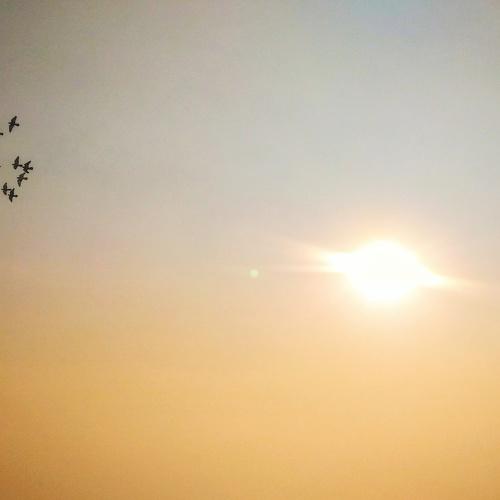 Photo #4410338