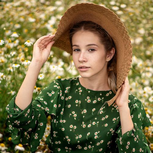 Daisy flowers
