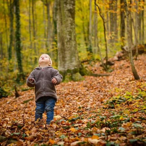 Photo #4410365