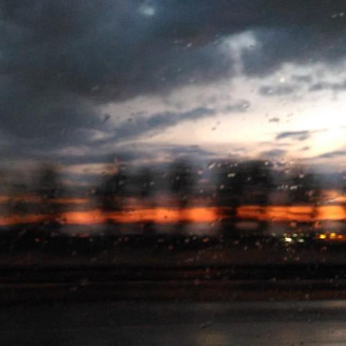 Photo #4410441