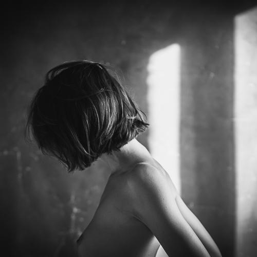 Photo #4410599
