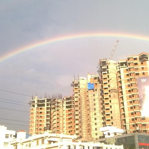 Photo #4410723