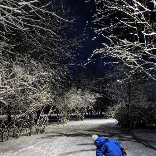 Photo #4410937