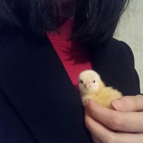 Photo #4411099
