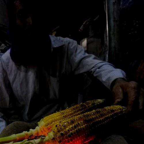 Photo #4411124