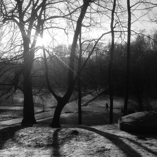 Photo #4411211