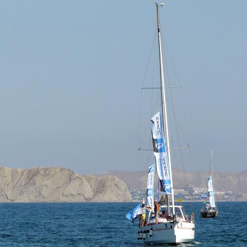 Photo #4411221