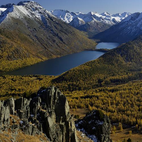Photo #4411677