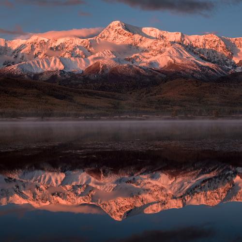 Photo #4411691